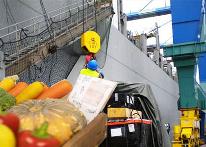 ship chandlers and ship suppliers cape verde mindelo praia porto novo